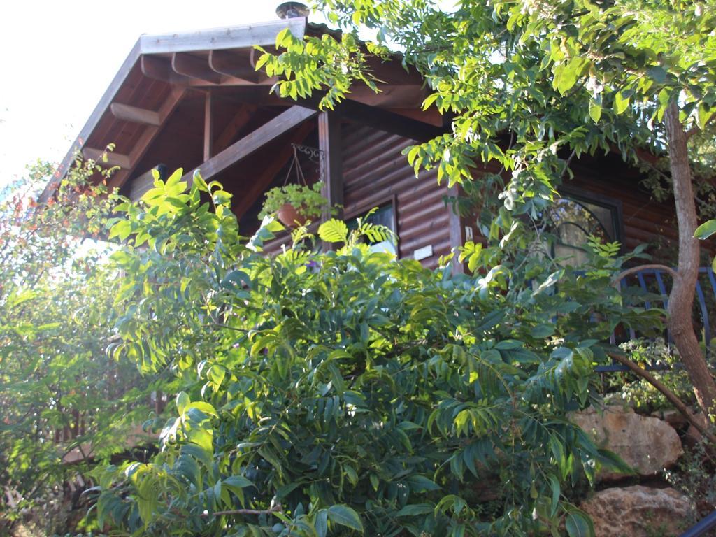 First Light Cabins Amirim Habitación foto
